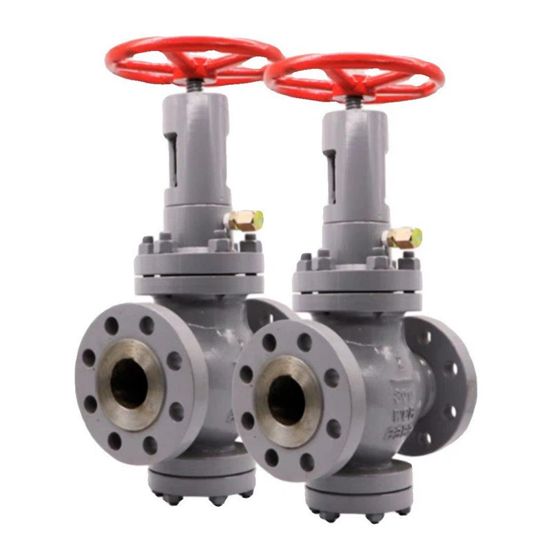throttle globe valve3